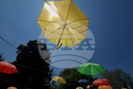 Градска градина - цветни чадъри