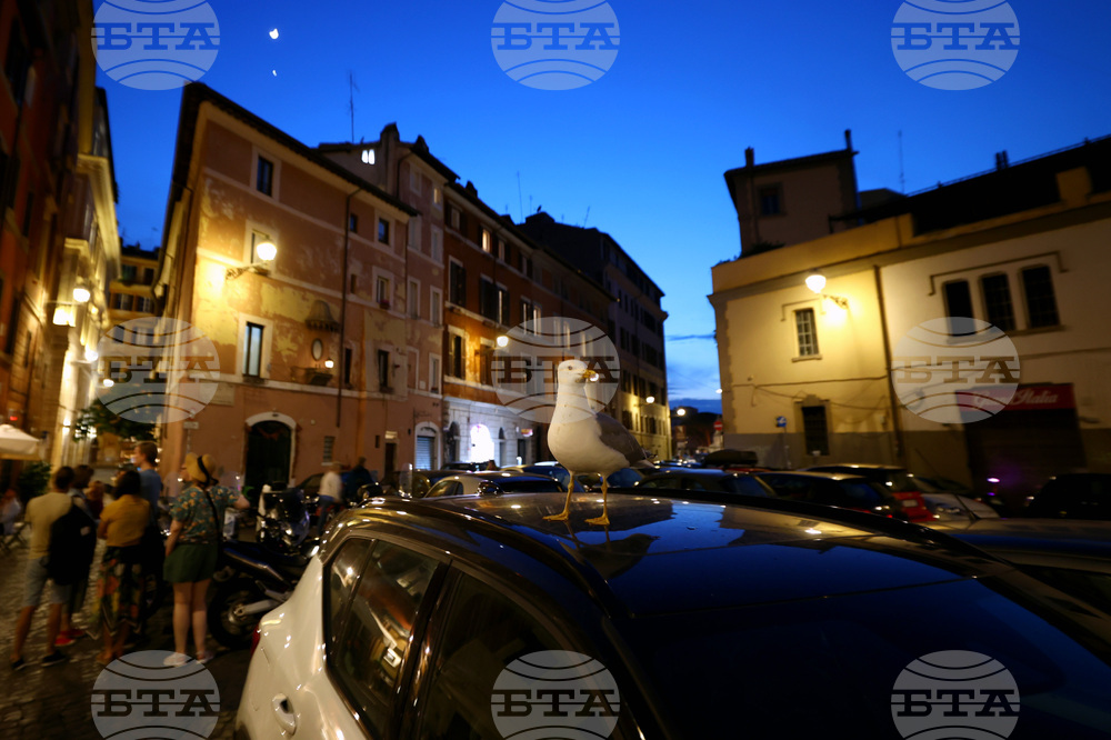 Италия - Рим - изглед 