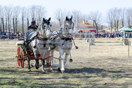 Кардам - конен турнир - Александра Антонова