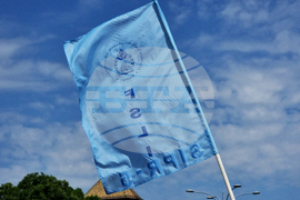 Румъния - протест - учители