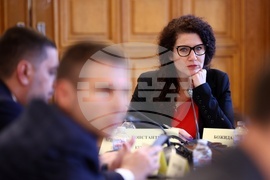 Парламент - Комисия по електронно управление и информационни технологии - Калина Константинова