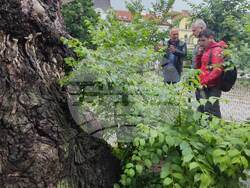 Снимка: Община Сливен