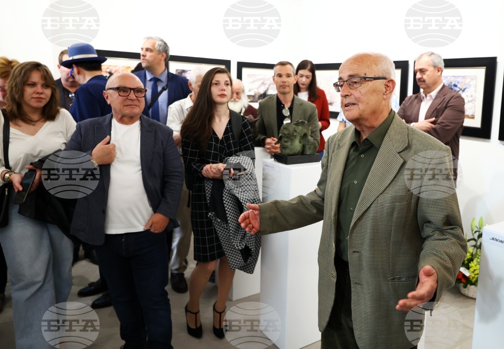 Вежди Рашидов - изложба - проф. Чавдар Попов