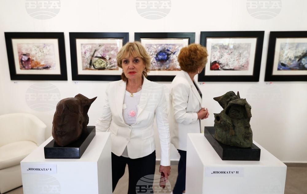 Вежди Рашидов - изложба