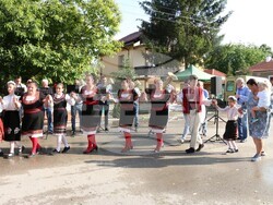 Община Видин