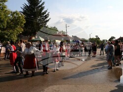 Община Видин