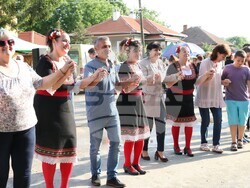 Община Видин