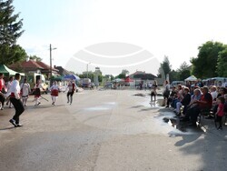 Община Видин