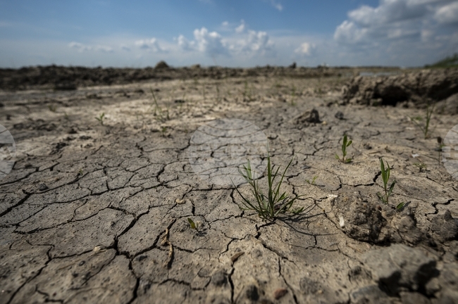 Засегнатата от суши територия в България през 2024 г. достига максимум от 17 години, по данни на Евростат
