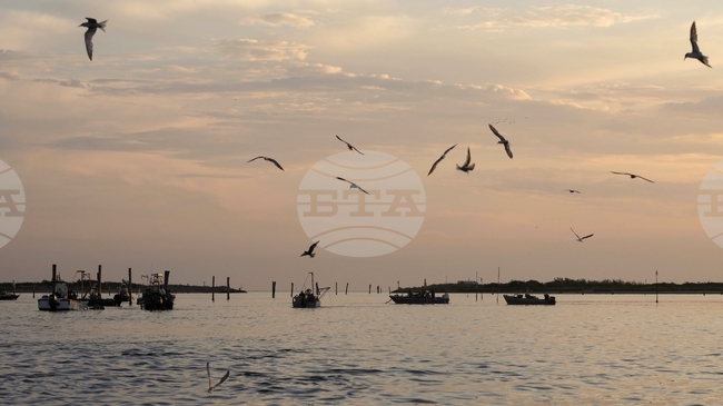 Стратегически проект за подводна енергийна връзка между Италия и Албания обсъдиха албанският вицепремиер и италиански министър