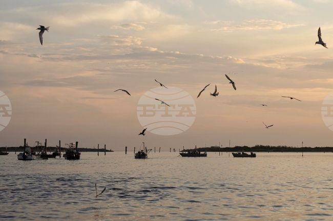 Стратегически проект за подводна енергийна връзка между Италия и Албания обсъдиха албанският вицепремиер и италиански министър