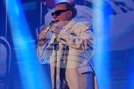 Васил Найденов - концерт