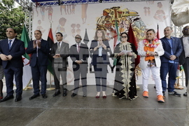 Фестивал - „Денят на Африка“