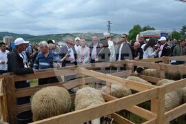 Момчилград - фармфест - "Красотата на Родопите"