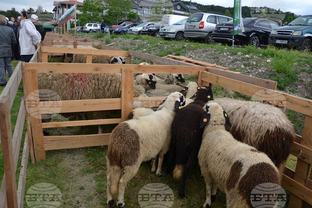 Момчилград - фармфест - "Красотата на Родопите"