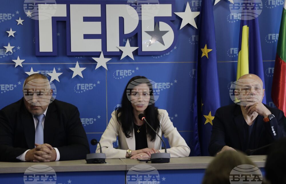 ГЕРБ - брифинг