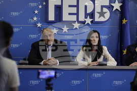 ГЕРБ - брифинг