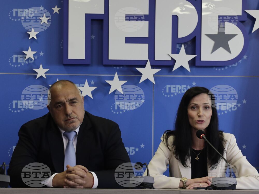 ГЕРБ - брифинг