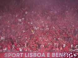 Portugal Soccer