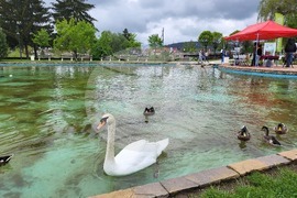 Самоков - празник - Ден на детето