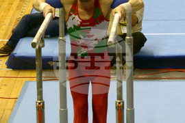 Варна - Световната купа по спортна гимнастика