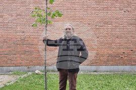 Стара Загора - Златната липа - Любен Чаталов