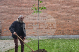 Стара Загора - Златната липа - Любен Чаталов