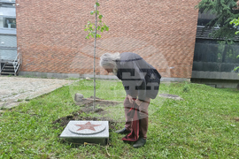 Стара Загора - Златната липа - Любен Чаталов