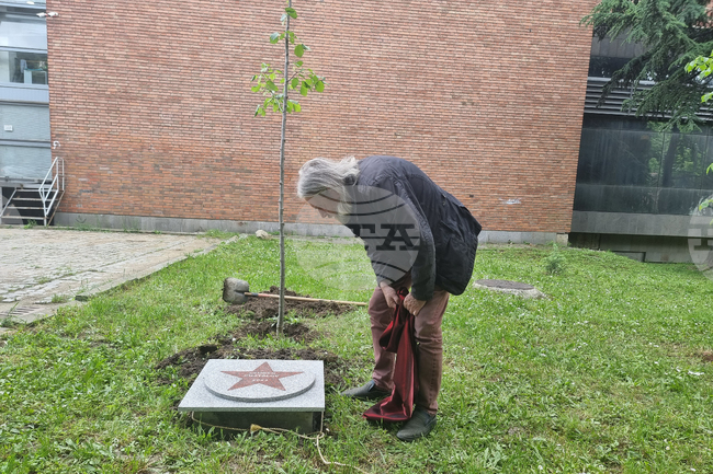 Стара Загора - Златната липа - Любен Чаталов
