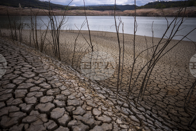 Рекордна суша е отчетена в началото на юни в Европа и по средиземноморското крайбрежие