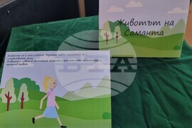 Варна - Школа "Дедал" - изложба