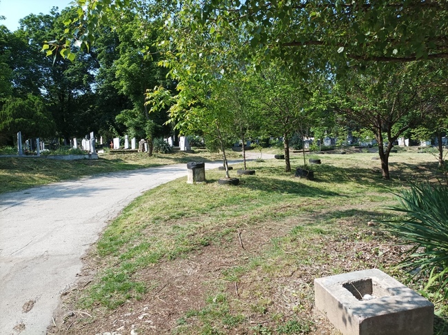 Община Плевен: Приключи първото косене на гробищните паркове в Плевен