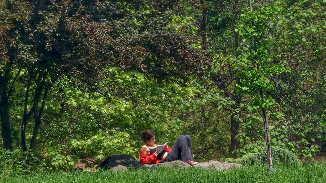 Sofia Municipality Launches New Green Infrastructure Project to Improve Air Quality
