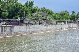 Лом - Дунав - ниво