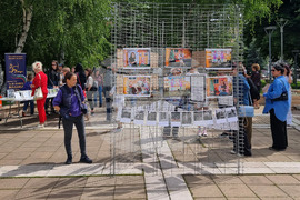 Ямбол - бездомни кучета - кампания