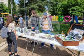 Ямбол - бездомни кучета - кампания