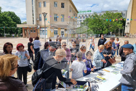 Ямбол - бездомни кучета - кампания