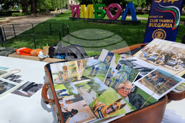 Ямбол - бездомни кучета - кампания