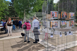 Ямбол - бездомни кучета - кампания