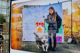 Ямбол - бездомни кучета - кампания