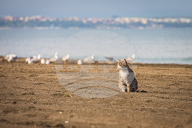 Бургас - плаж