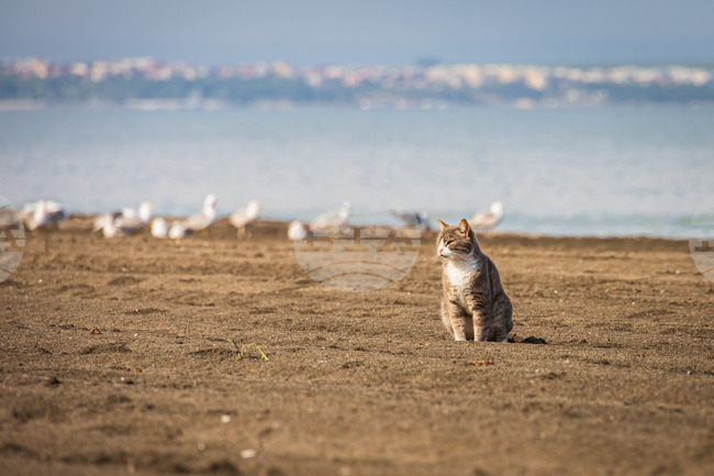  Бургас - плаж