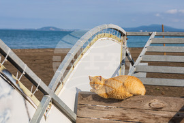 Бургас - плаж