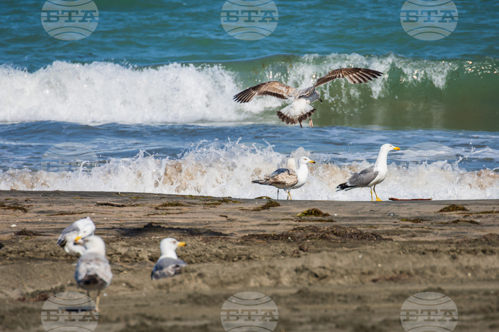 Бургас - плаж