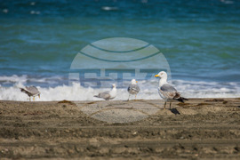 Бургас - плаж