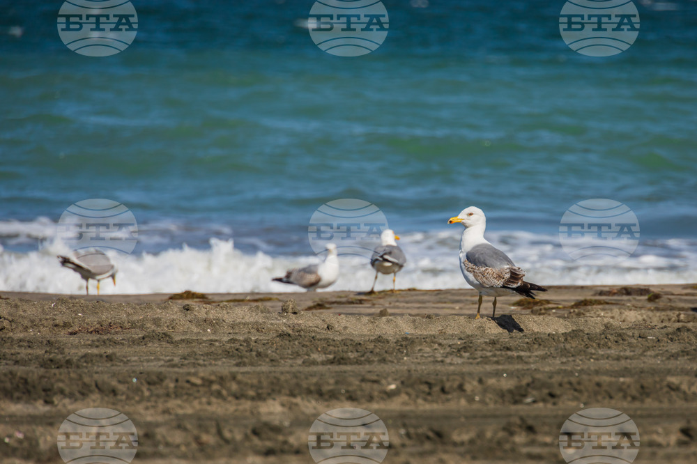 Бургас - плаж