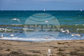 Бургас - плаж