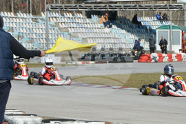 Хасково – картинг