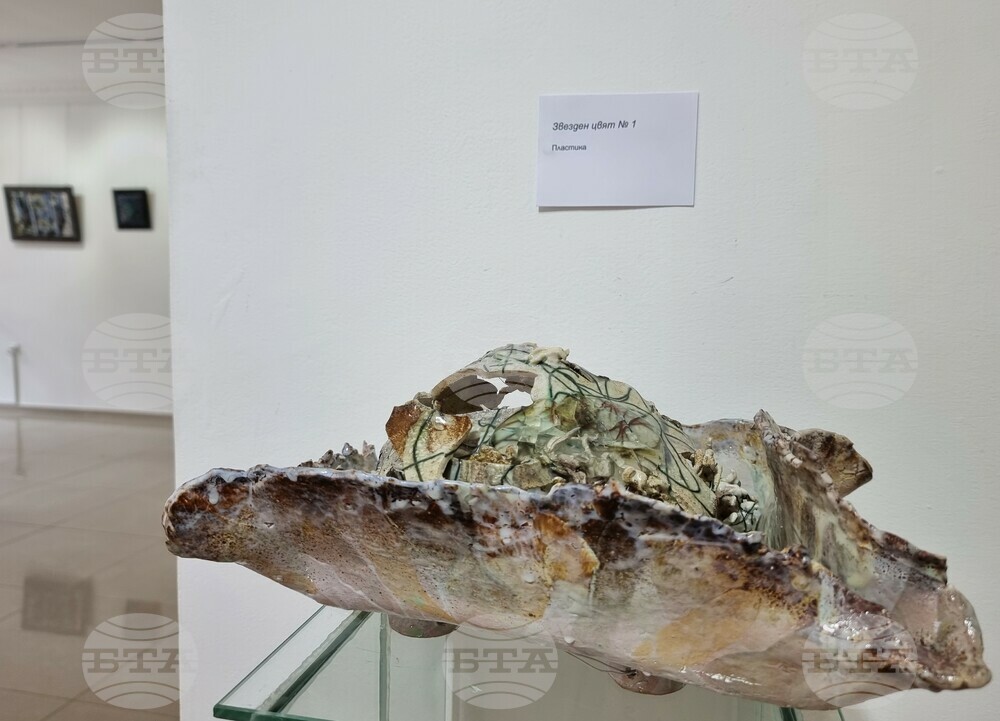 Варна - Ивана Енева - изложба керамика