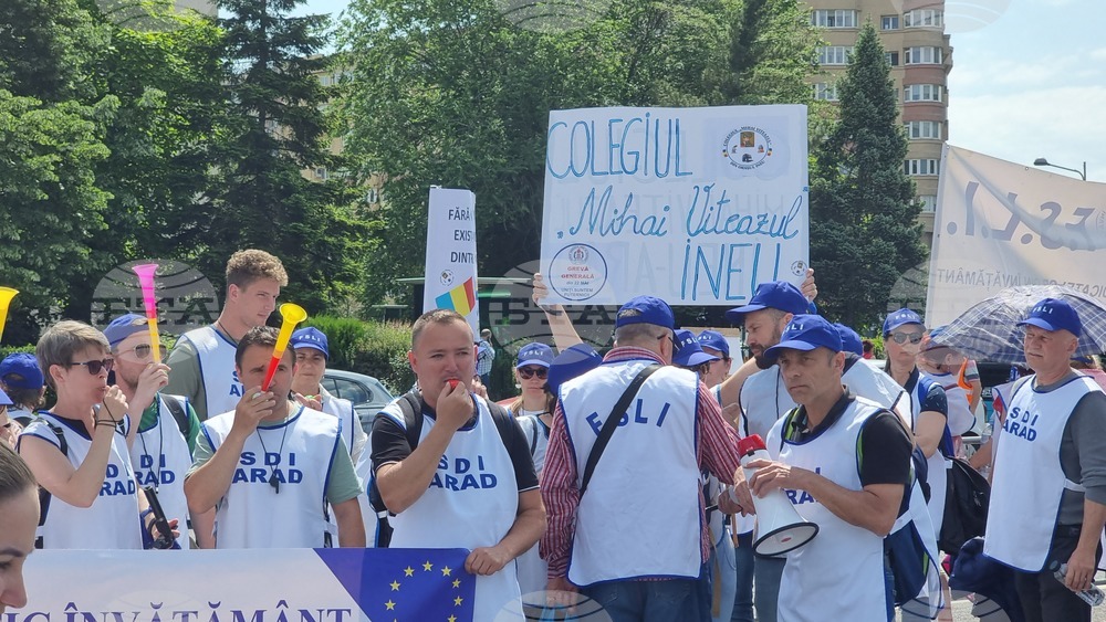 Румъния - протест - учители
